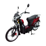 electric vehicles ladyboy head bumblebee front pocket lead-acid battery/lithium battery electric vehicles
